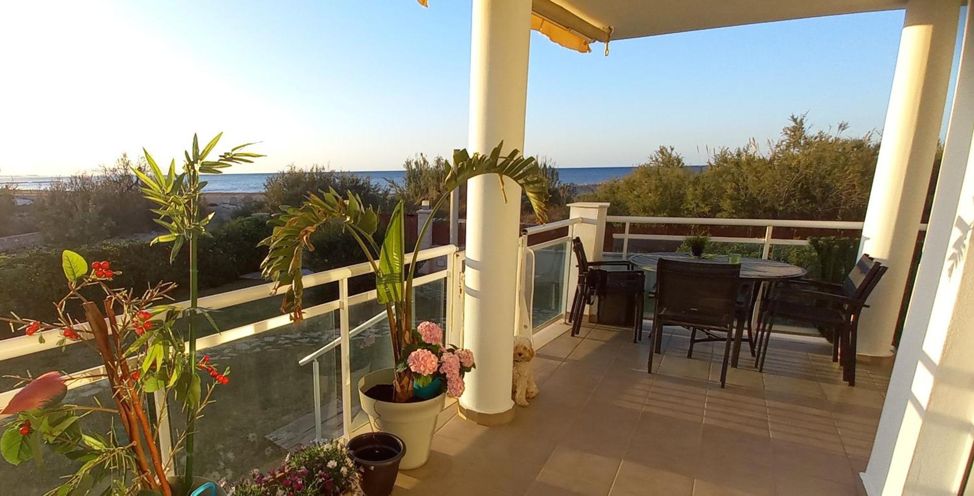 Beach View - Primera Linea Lujo Дения Экстерьер фото